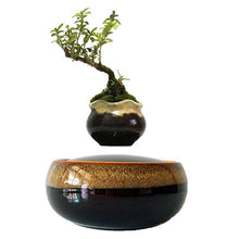 Load image into Gallery viewer, Black Eye Base Levitating Air-Floating Bonsai Pot - stilyo
