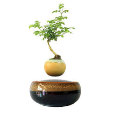 Load image into Gallery viewer, Black Eye Base Levitating Air-Floating Bonsai Pot - stilyo
