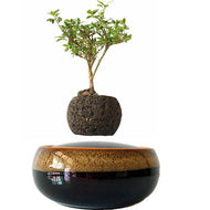 Black Eye Base Levitating Air-Floating Bonsai Pot - stilyo