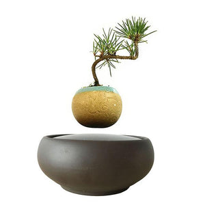 Blackout Base Levitating Air-Floating Bonsai Pot - stilyo