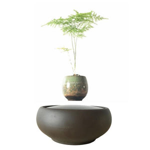 Blackout Base Levitating Air-Floating Bonsai Pot - stilyo