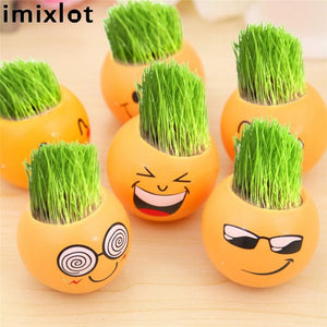 Creative DIY Emoji Grass Head - stilyo