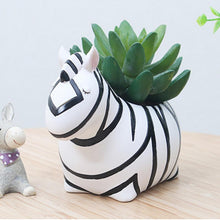 Load image into Gallery viewer, Cute Animal Flower Planters - stilyo
