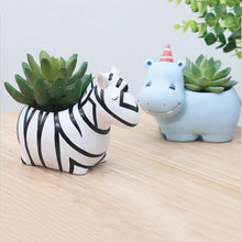 Load image into Gallery viewer, Cute Animal Flower Planters - stilyo
